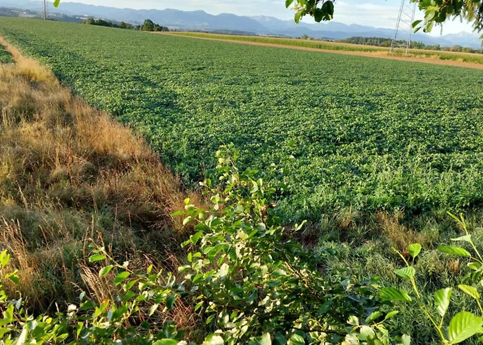 Estalagem Kirchenwirt In