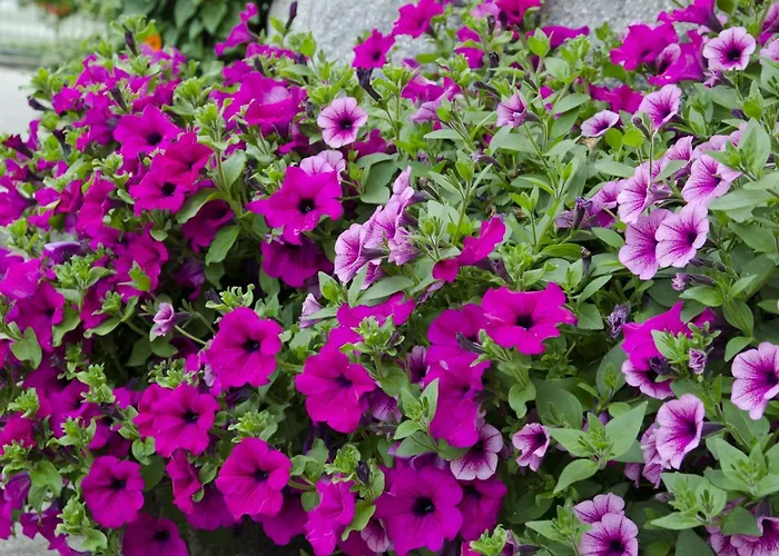 Estalagem Kirchenwirt In